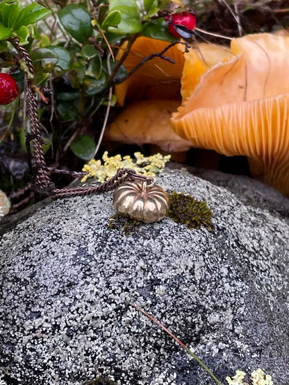 Zucca