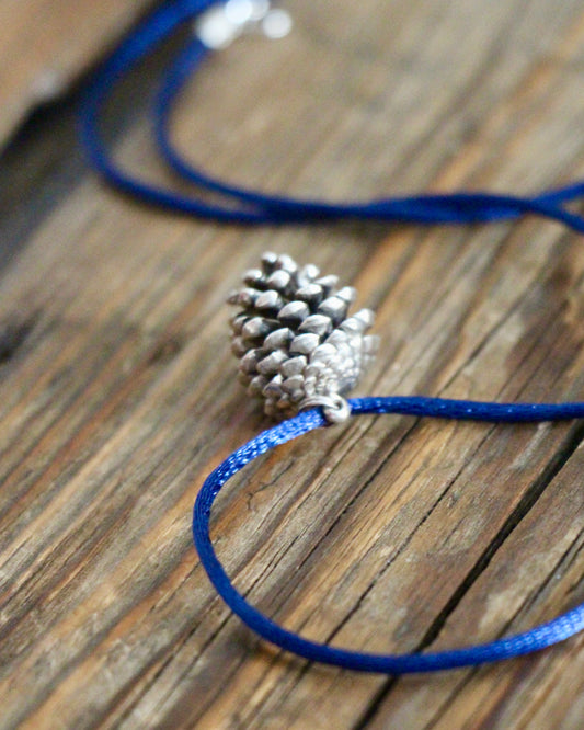 Pinecone ~ Pigna
