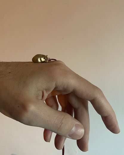 Ti regalo il mio Cuore